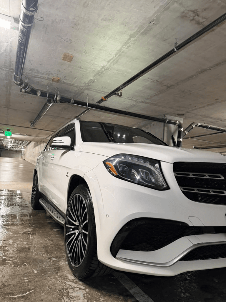 Paint Gloss Correction