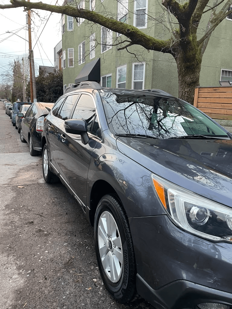 Premium Mobile Detailing Result